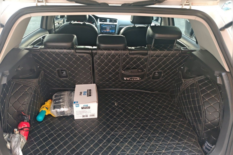 Volkswagen Golf 2016 car image #21