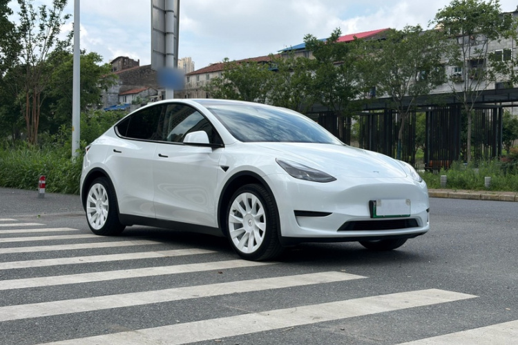 Tesla Model Y 2024 car image #6