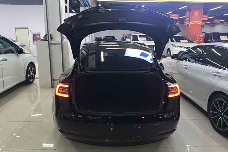 Tesla Model 3 2023 #19 Tesla Model 3 2023 car image #19