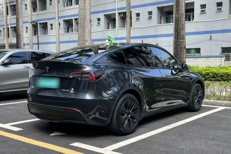 Tesla Model Y 2024 car image #6