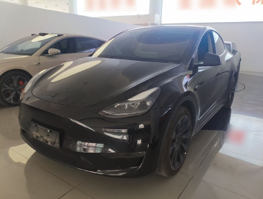 Tesla Model Y 2022 Tesla Model Y 2022 car image