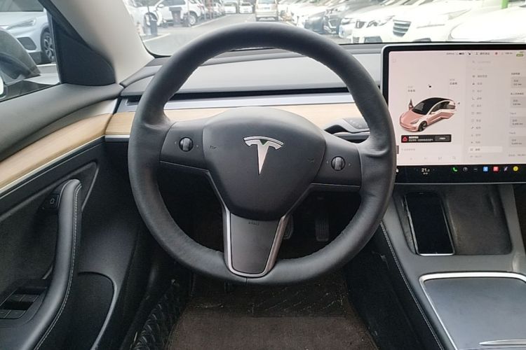 Tesla Model 3 2021 #13 Tesla Model 3 2021 car image #13