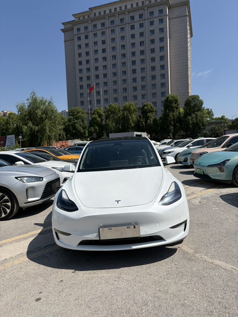 Tesla Model Y 2023 car image #2