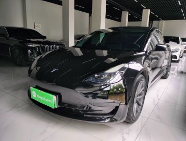 Tesla Model 3 2023 car image 