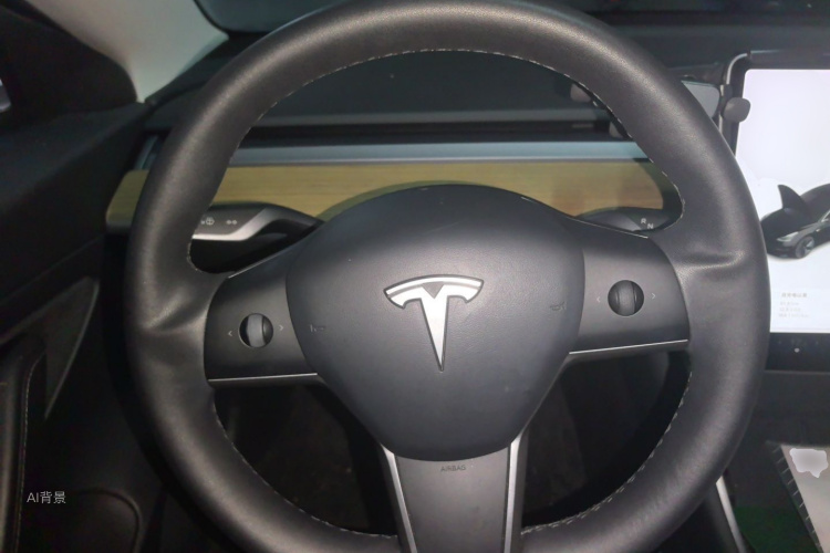 Tesla Model 3 2020 car image #12