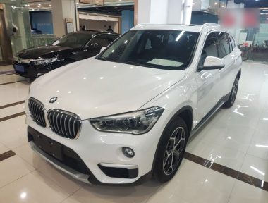 BMW X1 2019 car image 