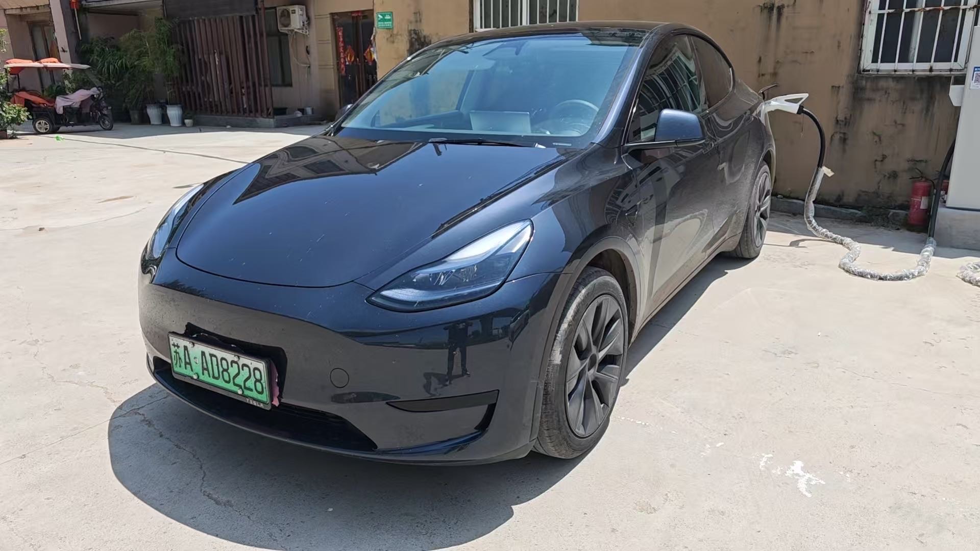Tesla Model Y 2024 car image 