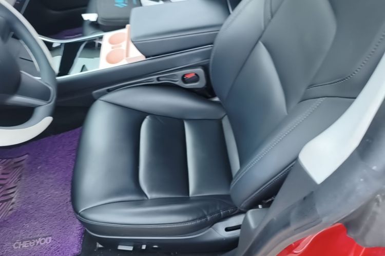 Tesla Model 3 2020 car image #15