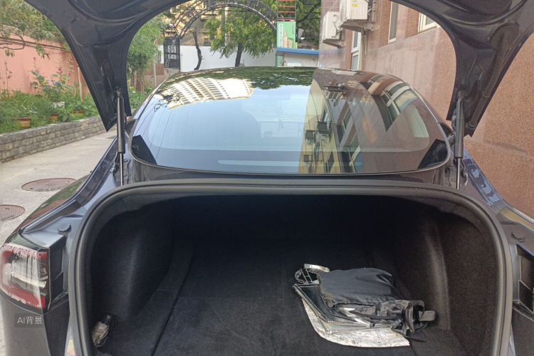 Tesla Model 3 2020 #21 Tesla Model 3 2020 car image #21