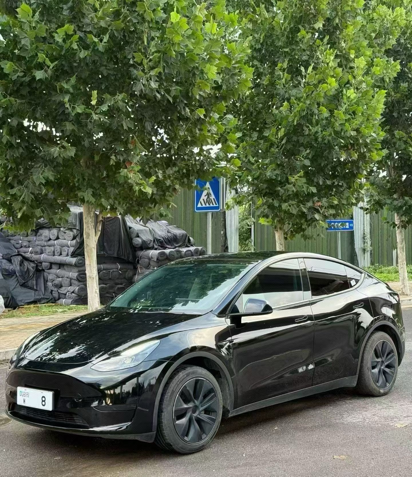 Tesla Model Y 2024 car image 