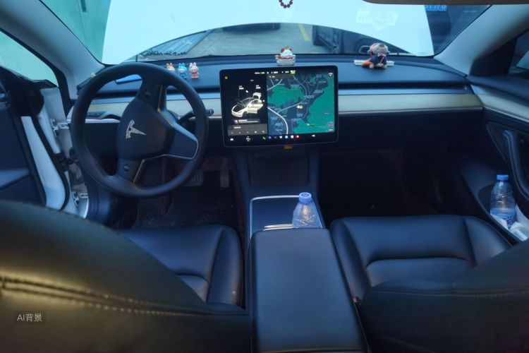 Tesla Model 3 2021 #11 Tesla Model 3 2021 car image #11