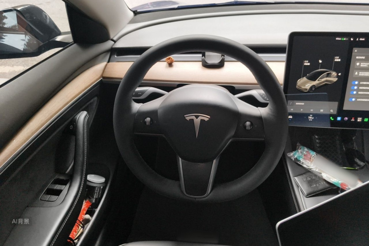 Tesla Model 3 2021 car image #12