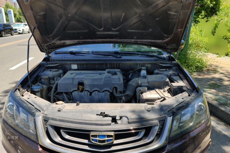 GEELY Emgrand 2017 car image #22