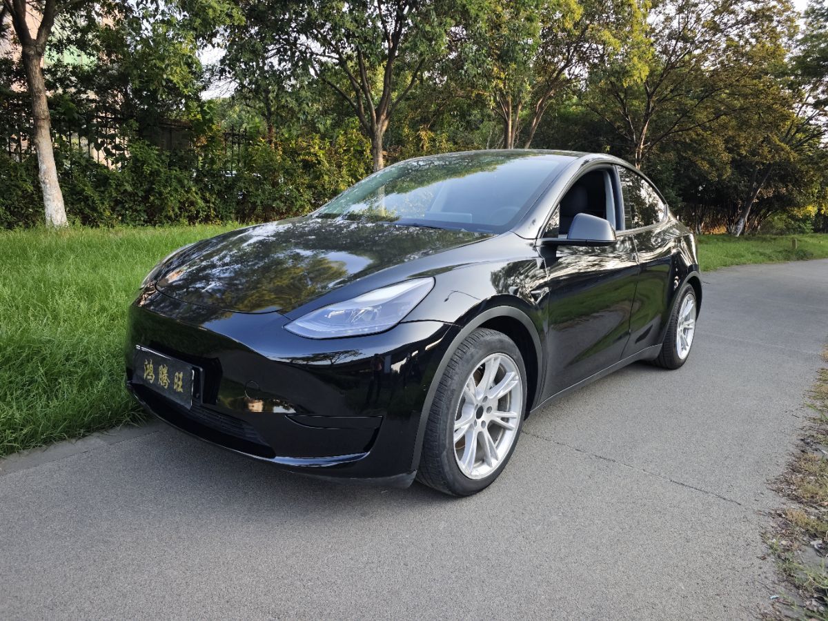 Tesla Model Y 2022 car image 