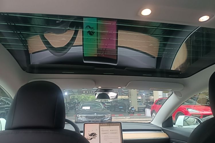 Tesla Model 3 2021 #18 Tesla Model 3 2021 car image #18