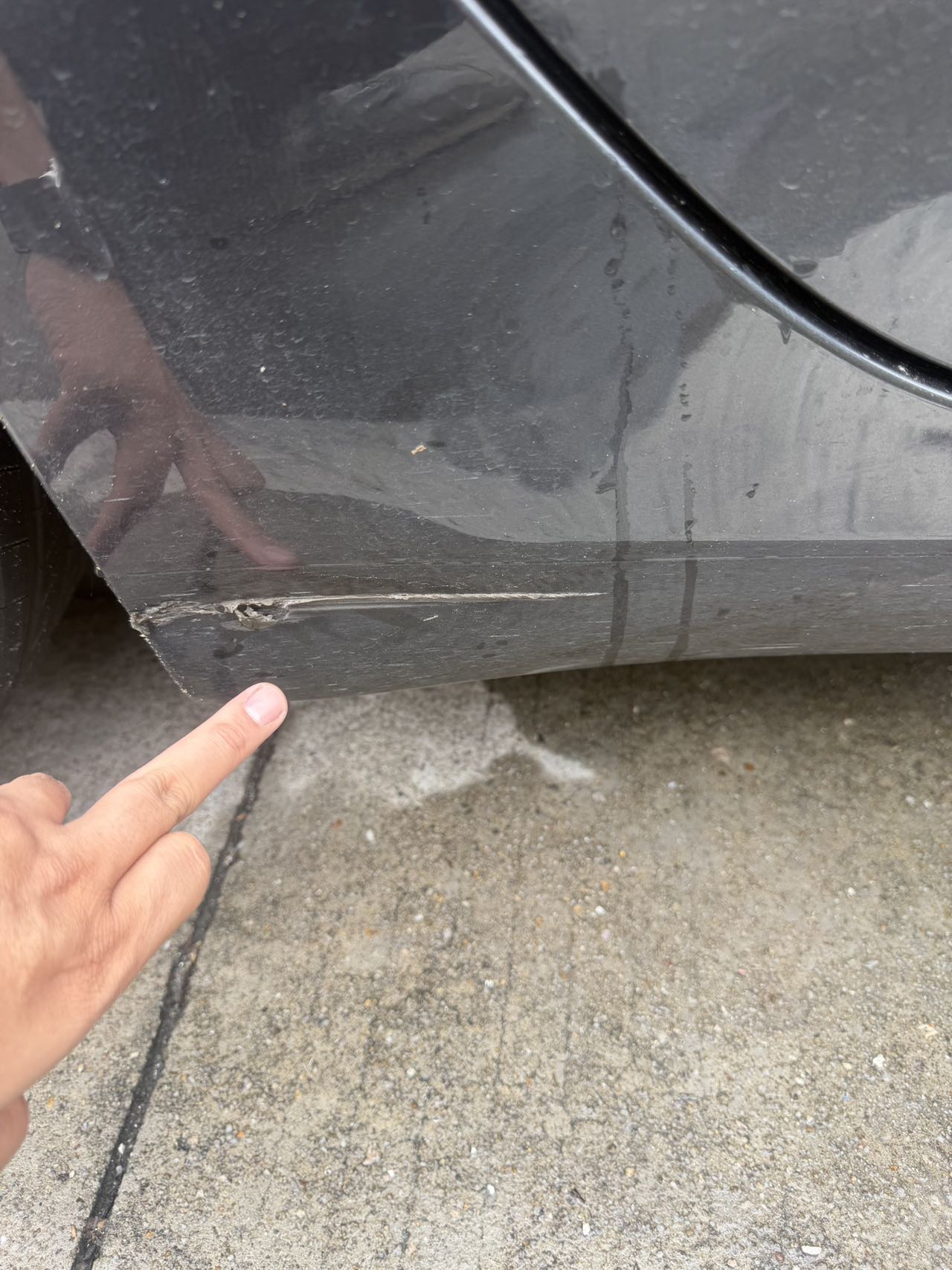 Tesla Model 3 2025 car image #14