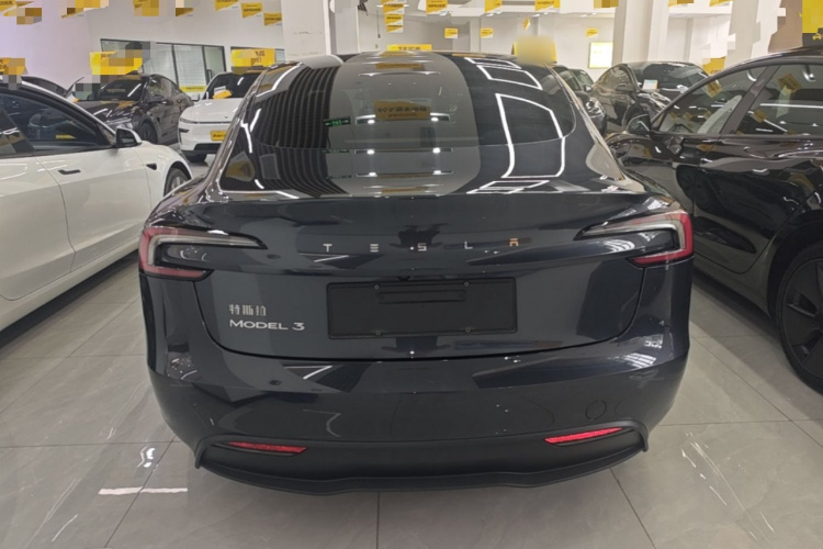 Tesla Model 3 2024 #6 Tesla Model 3 2024 car image #6