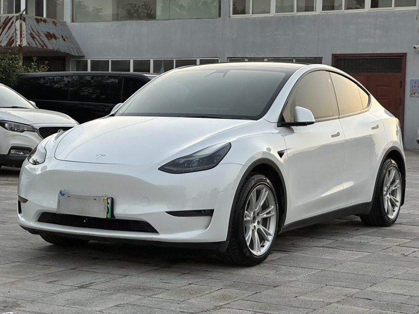 Tesla Model Y 2021 Tesla Model Y 2021 car image