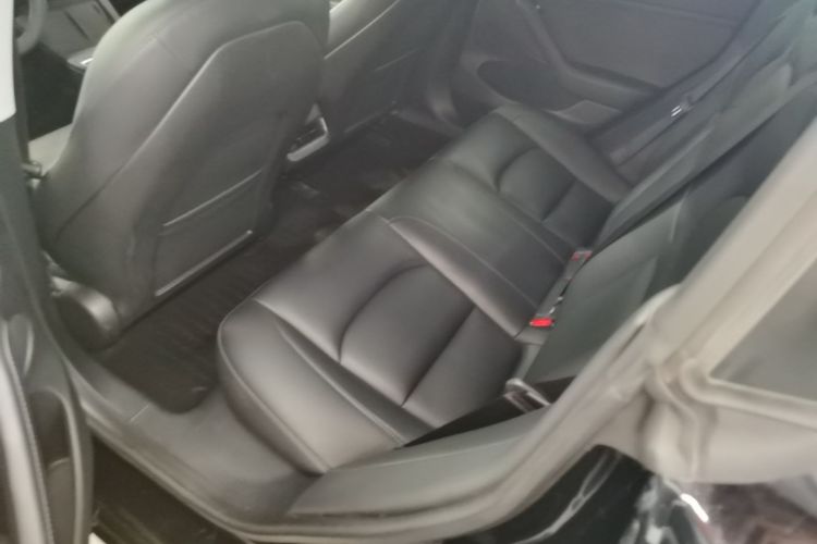 Tesla Model 3 2023 car image #13