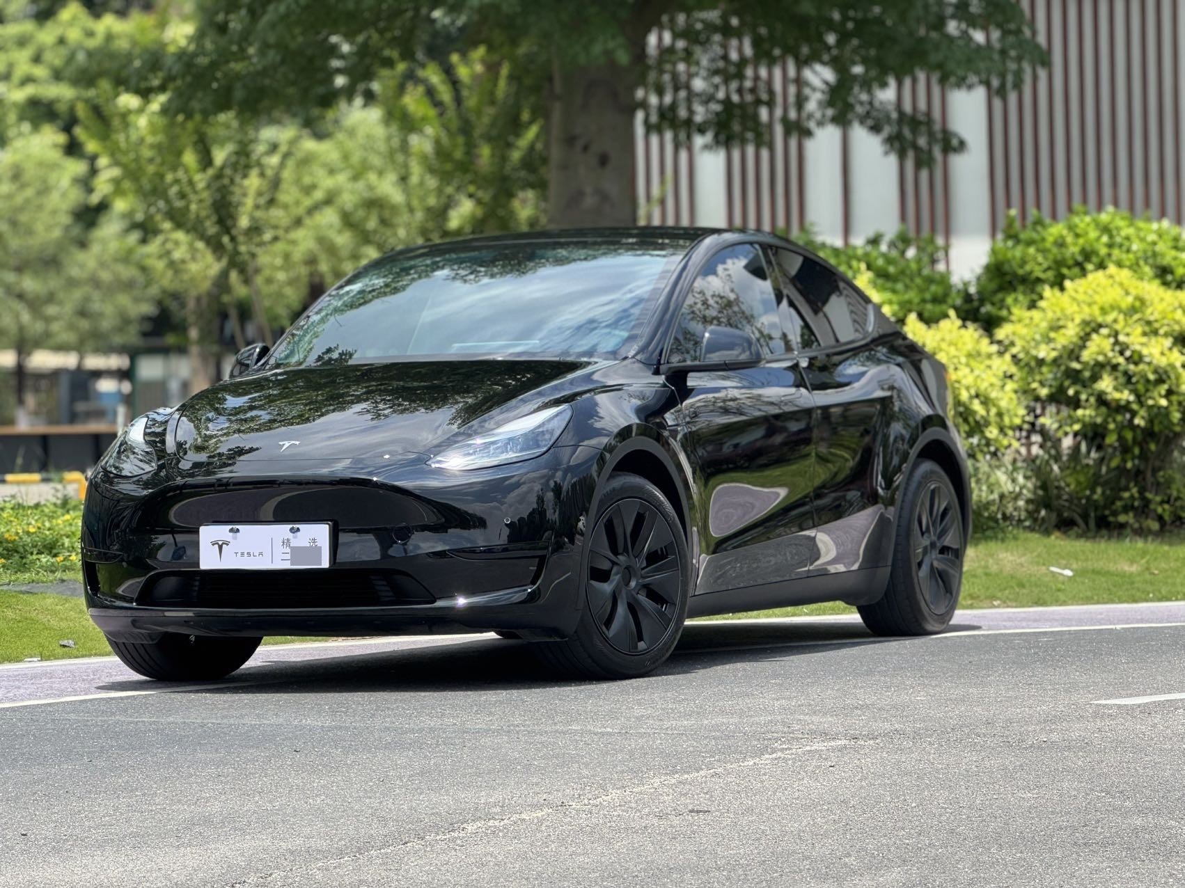 Tesla Model Y 2024 car image 
