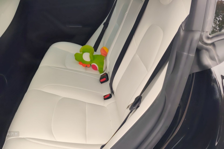 Tesla Model 3 2022 immagine di auto #19