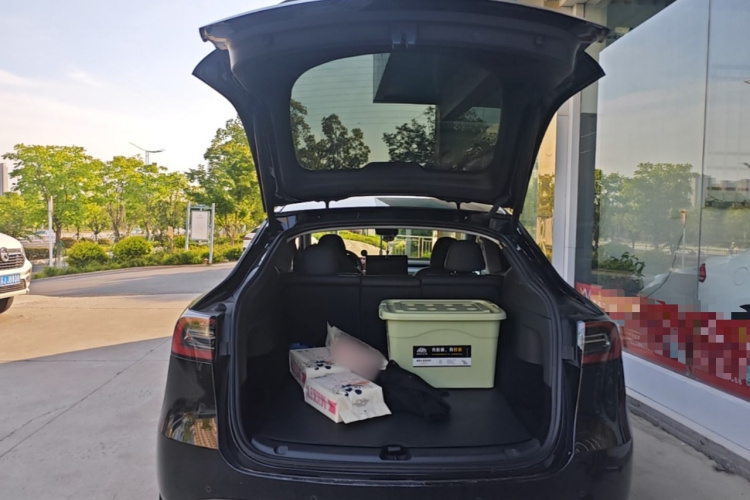 Tesla Model Y 2023 #19 Tesla Model Y 2023 car image #19
