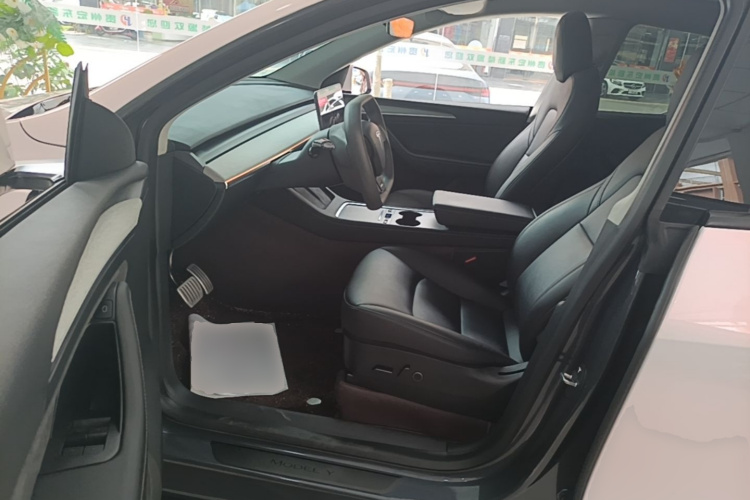 Tesla Model Y 2021 car image #19