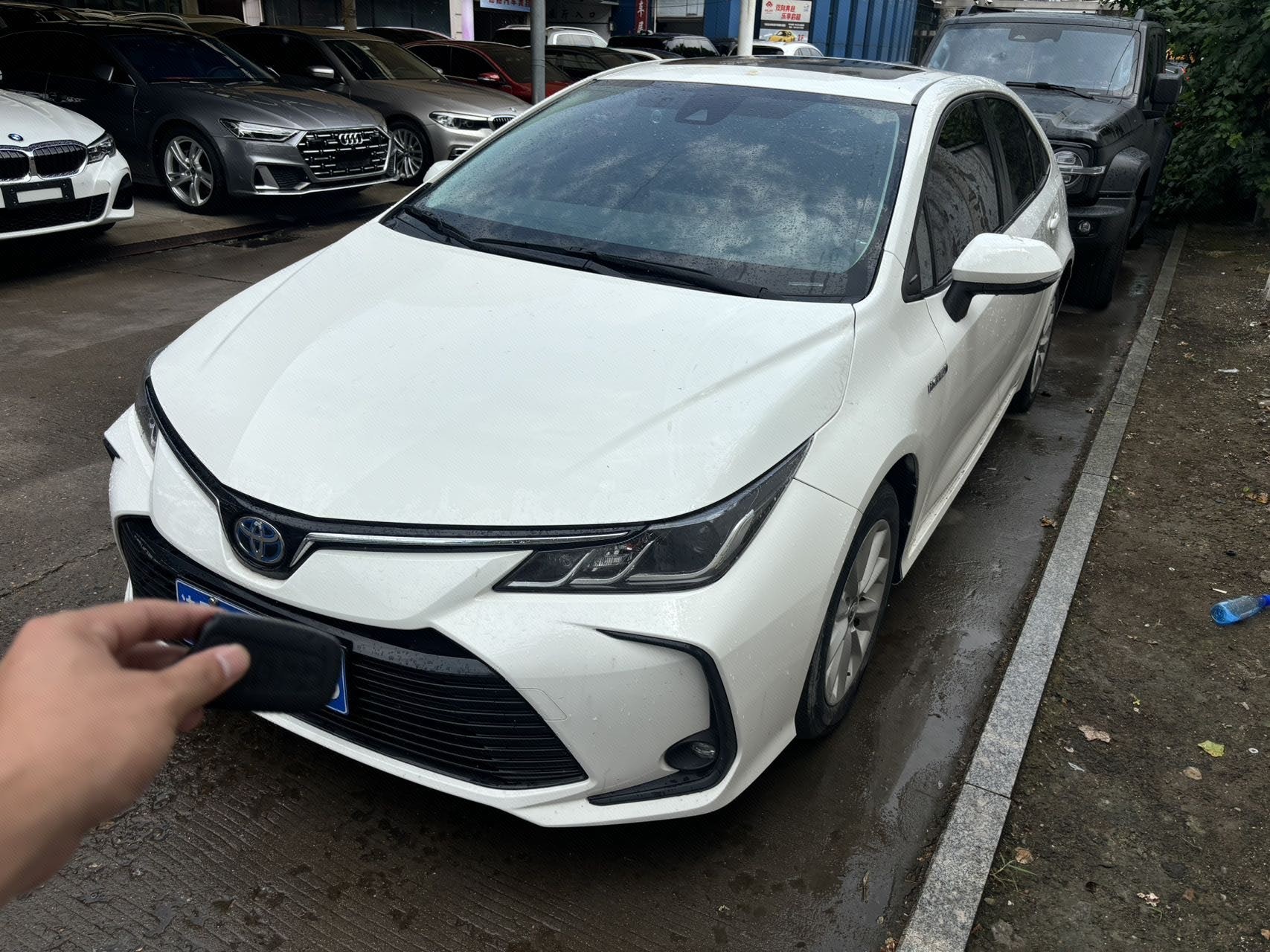 Toyota Corolla 2021 car image 