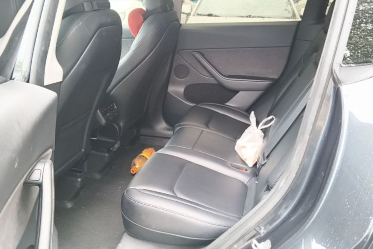 Tesla Model Y 2024 car image #13