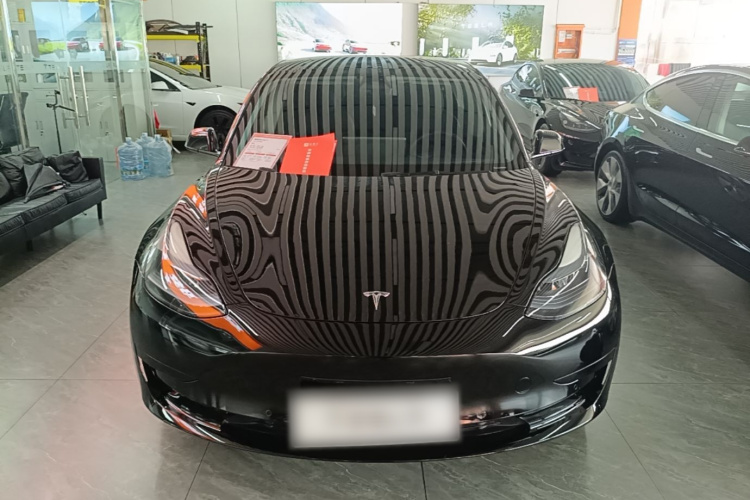 Tesla Model 3 2023 #3 Tesla Model 3 2023 car image #3