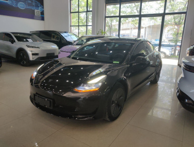 Tesla Model 3 2022 Tesla Model 3 2022 immagine di auto