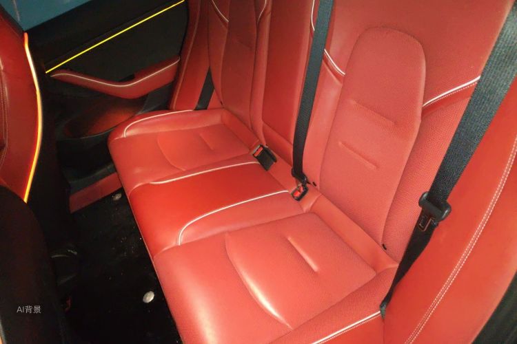 Tesla Model 3 2022 #19 Tesla Model 3 2022 car image #19