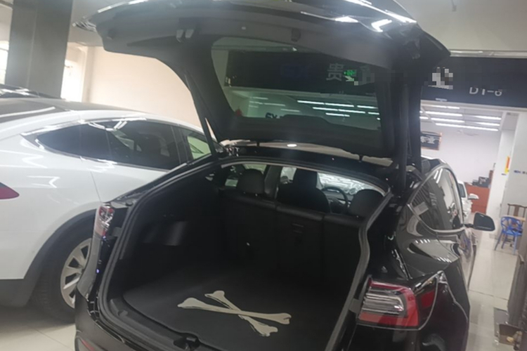 Tesla Model Y 2021 #19 Tesla Model Y 2021 car image #19