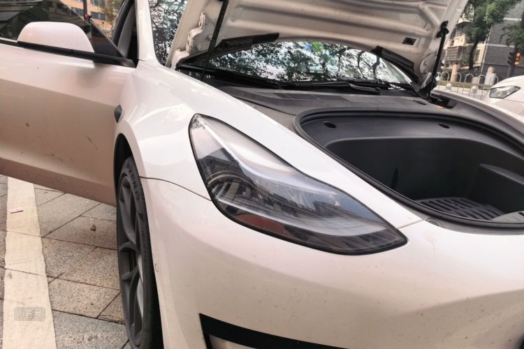 Tesla Model 3 2021 car image #8