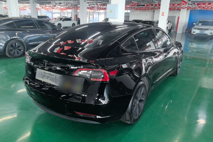 Tesla Model 3 2023 imagem de carro #7