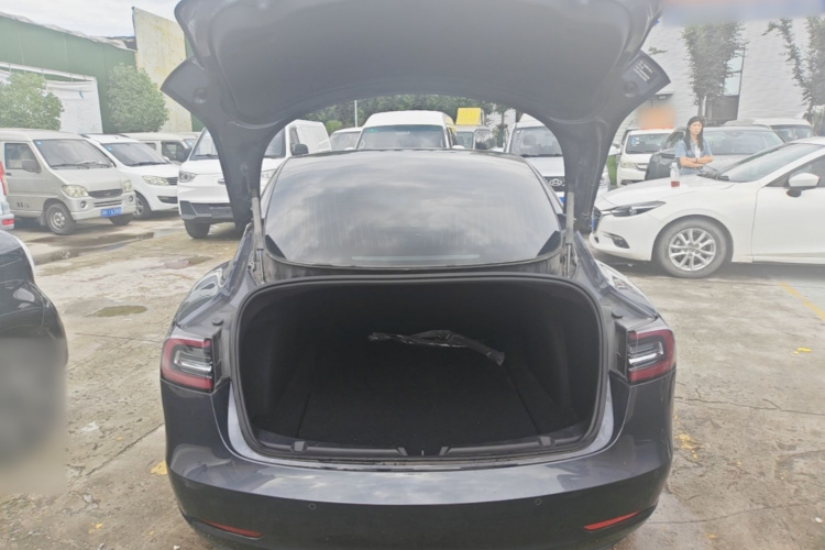 Tesla Model 3 2020 #19 Tesla Model 3 2020 immagine di auto #19