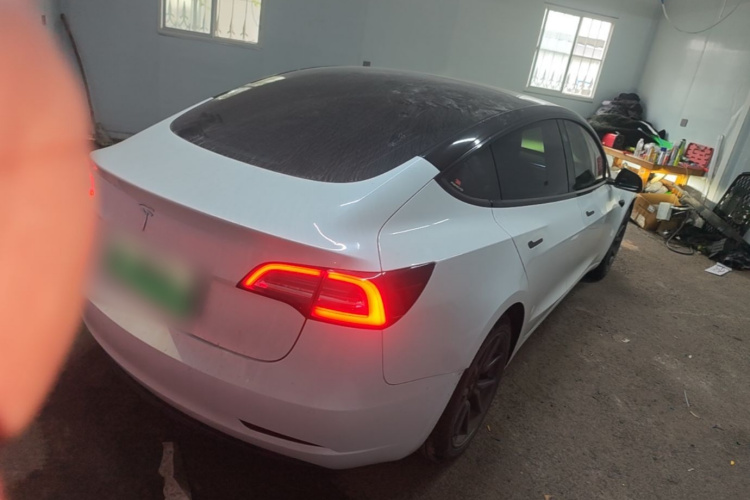 Tesla Model 3 2020 #5 Tesla Model 3 2020 car image #5