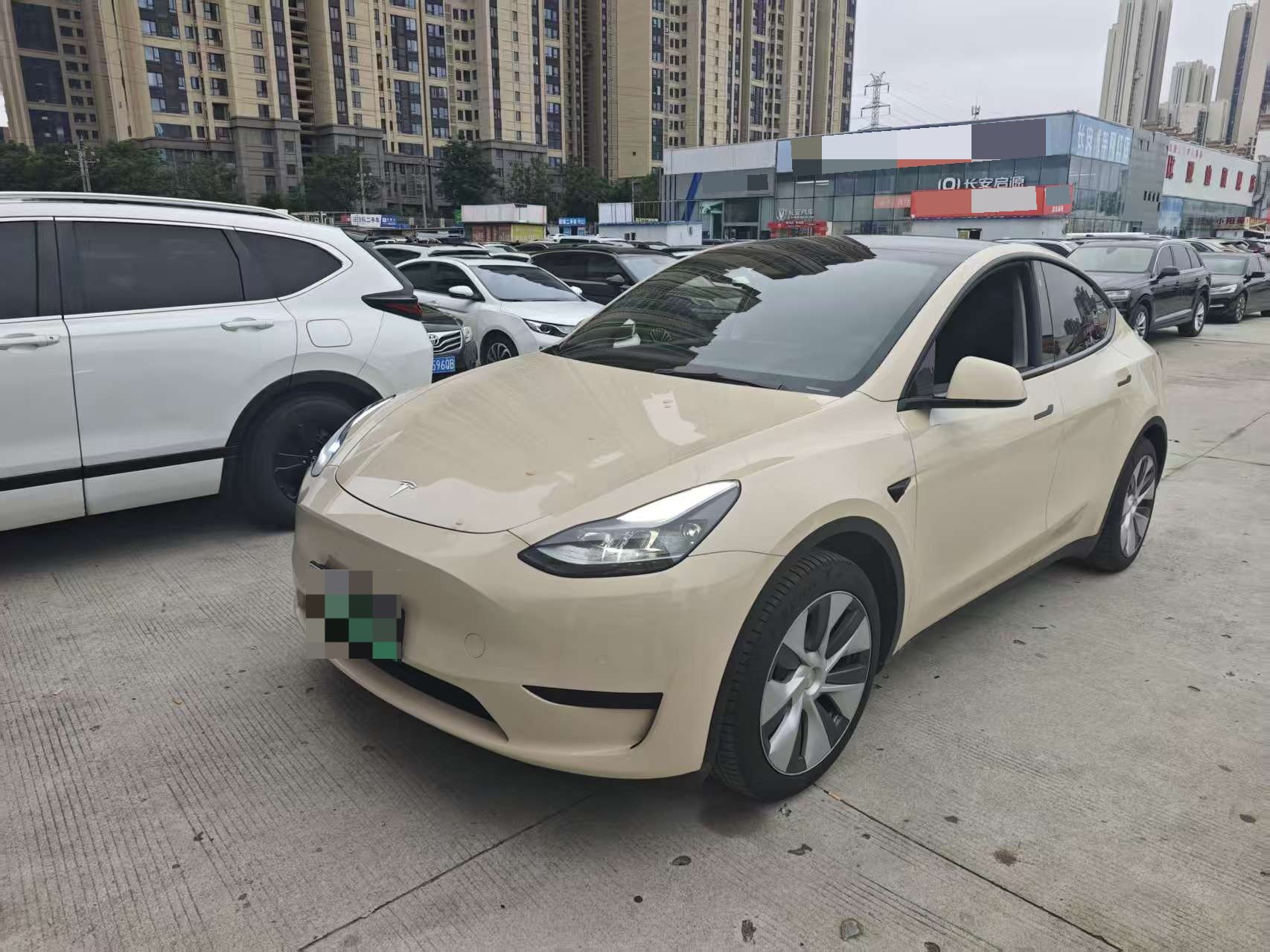 Tesla Model Y 2022 Tesla Model Y 2022 car image