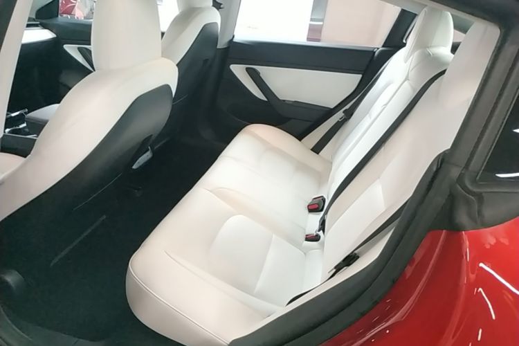 Tesla Model 3 2020 car image #17
