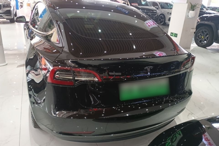 Tesla Model 3 2021 #4 Tesla Model 3 2021 car image #4