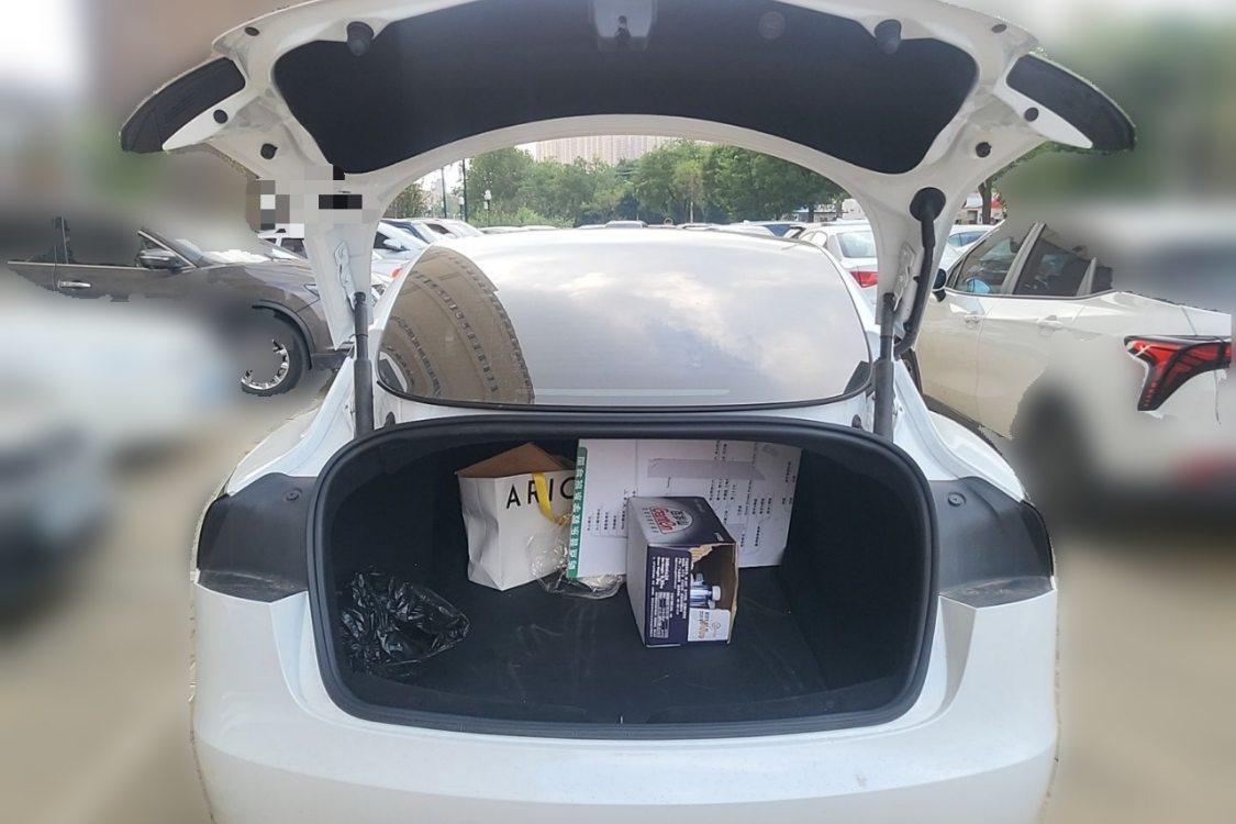Tesla Model 3 2023 #8 Tesla Model 3 2023 car image #8