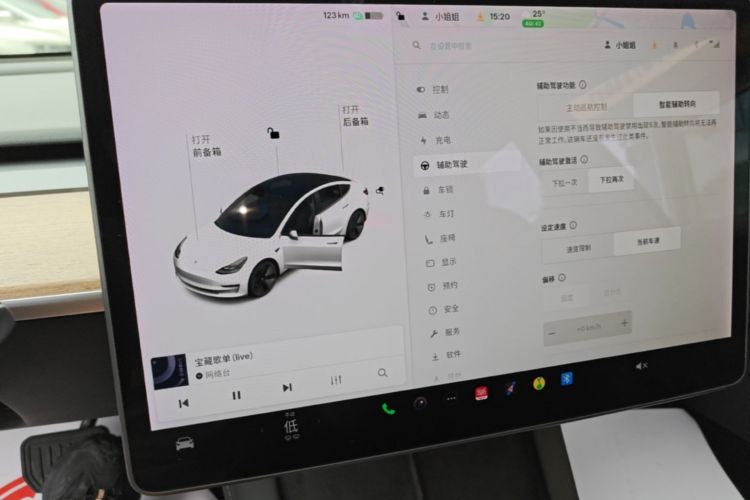 Tesla Model 3 2021 car image #13