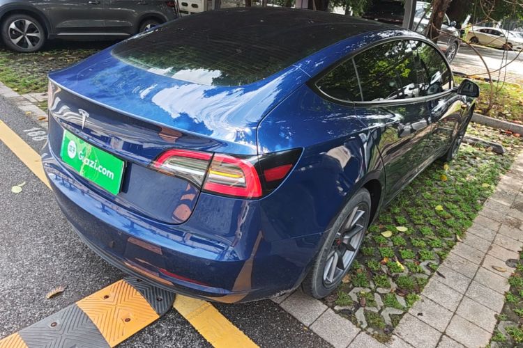 Tesla Model 3 2021 #7 Tesla Model 3 2021 car image #7