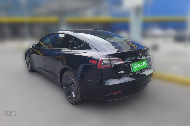 Tesla Model 3 2021 car image #5