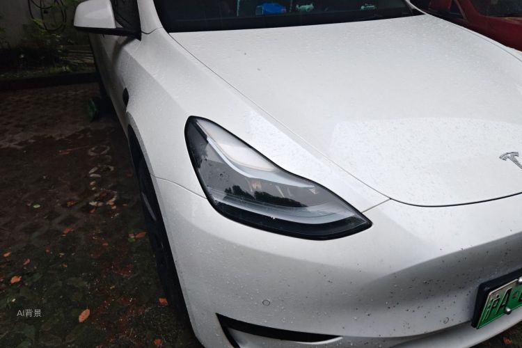 Tesla Model Y 2023 #8 Tesla Model Y 2023 car image #8