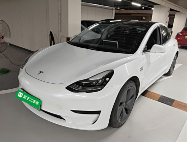 Tesla Model 3 2020 Tesla Model 3 2020 car image