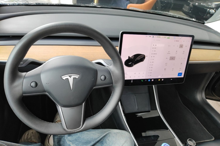 Tesla Model 3 2020 car image #11