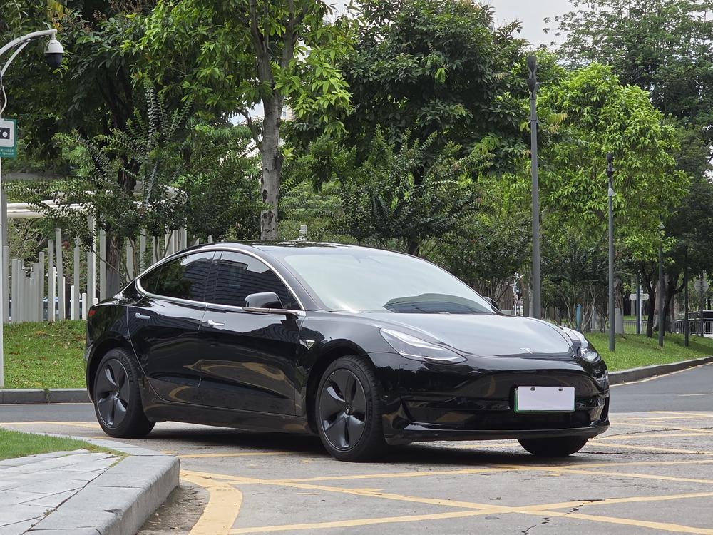 Tesla Model 3 2020 #3 Tesla Model 3 2020 car image #3