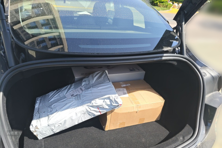Tesla Model 3 2023 imagem de carro #21