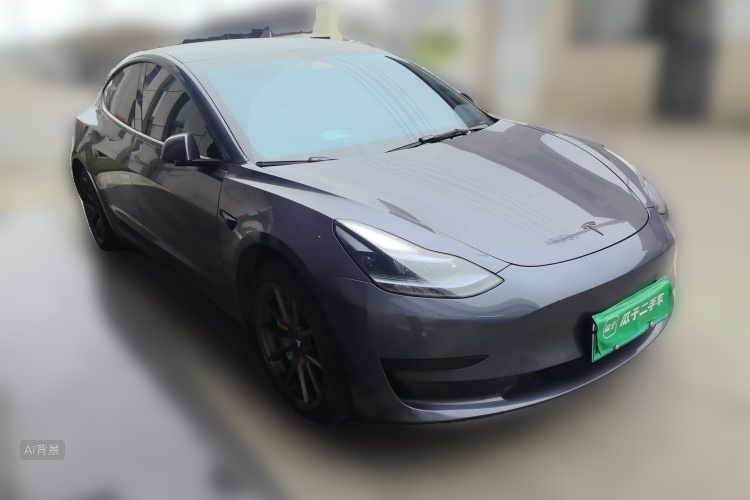Tesla Model 3 2022 car image #4